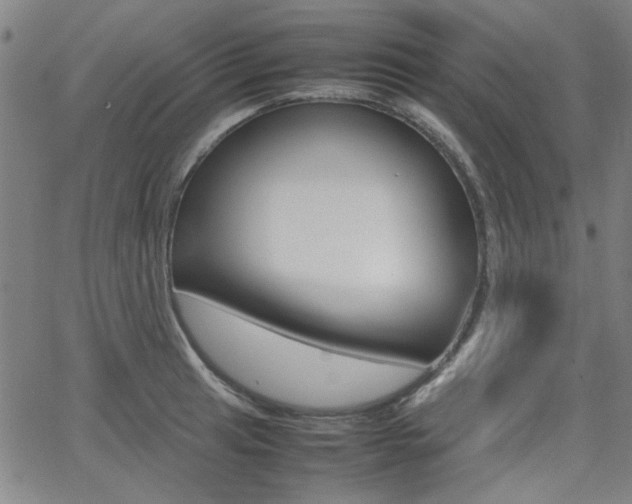 X0000064061041200601270928