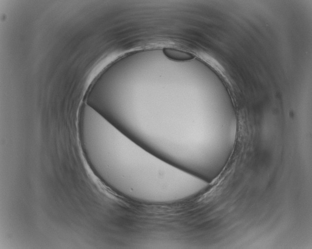 X0000064061047200601270928