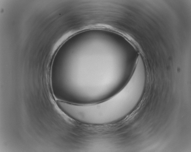 X0000064061054200601270929
