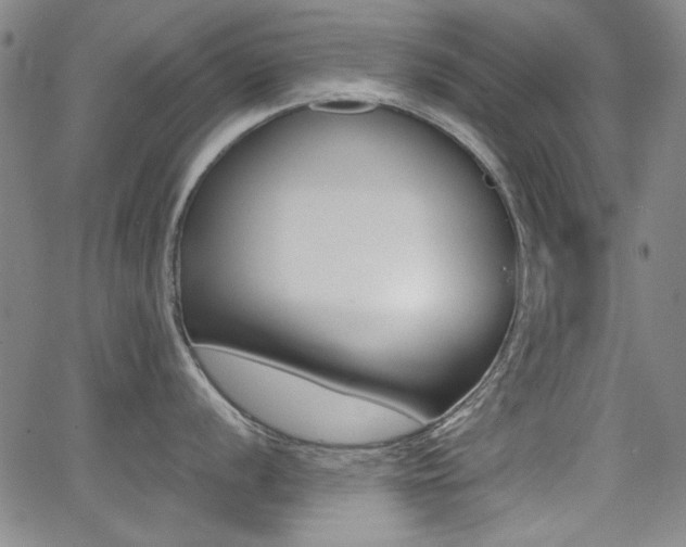 X0000064061056200601270929