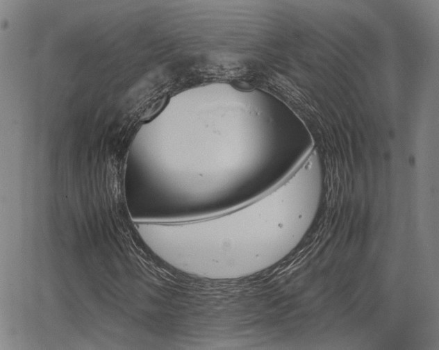 X0000064061058200601270928