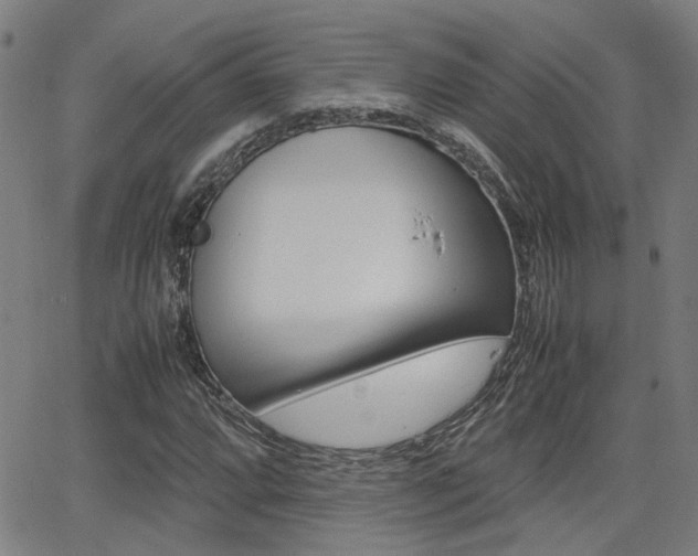 X0000064061064200601270928