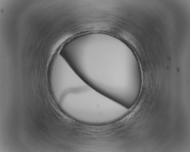 X0000064061071200601270928