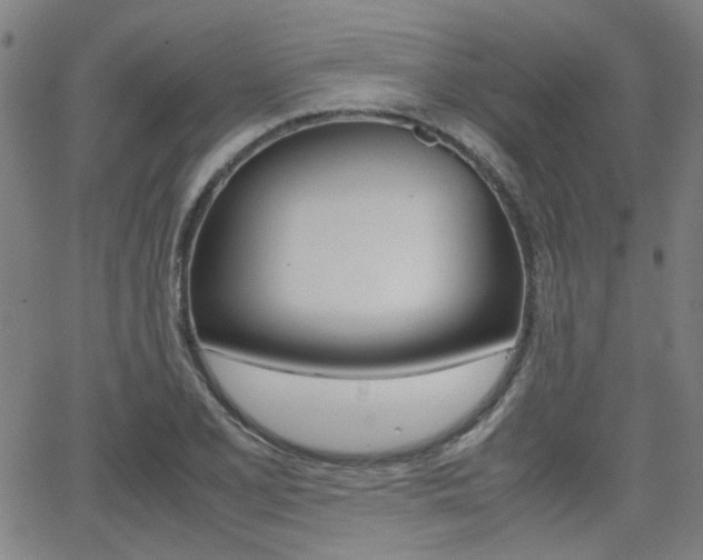 X0000064061077200601270928