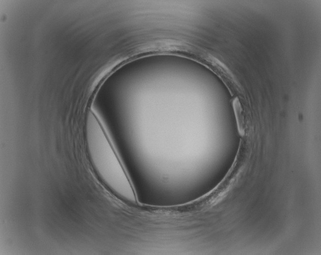 X0000064061081200601270927