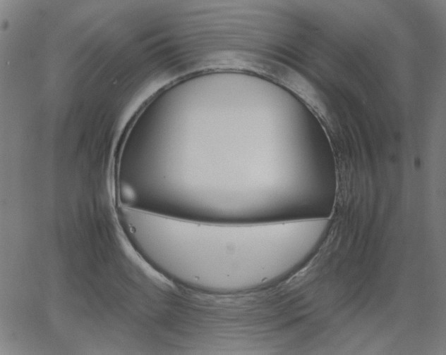X0000064061084200601270927