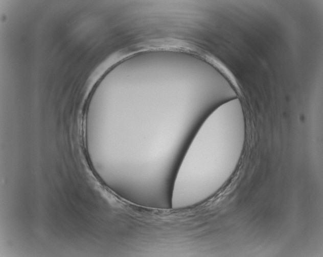 X0000064061099200601270927