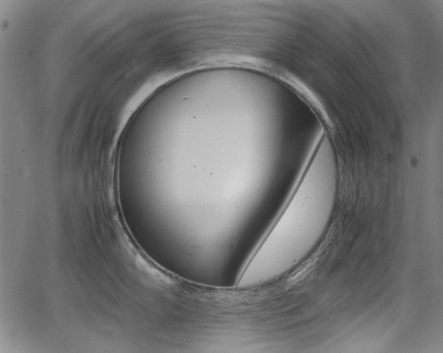 X0000064061102200601270927