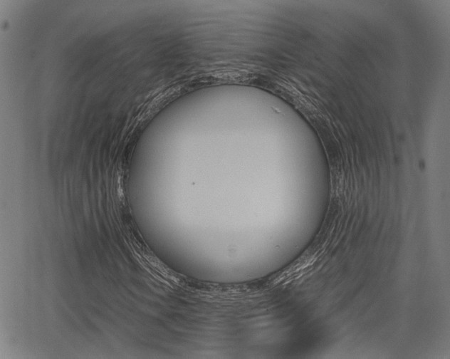 X0000064061106200601270926