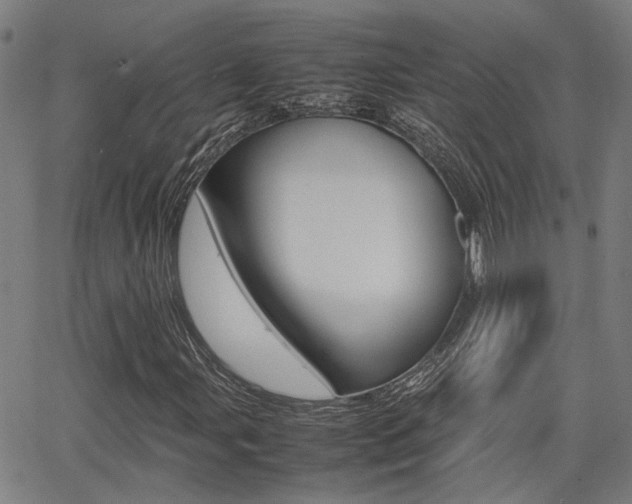 X0000064061107200601270926