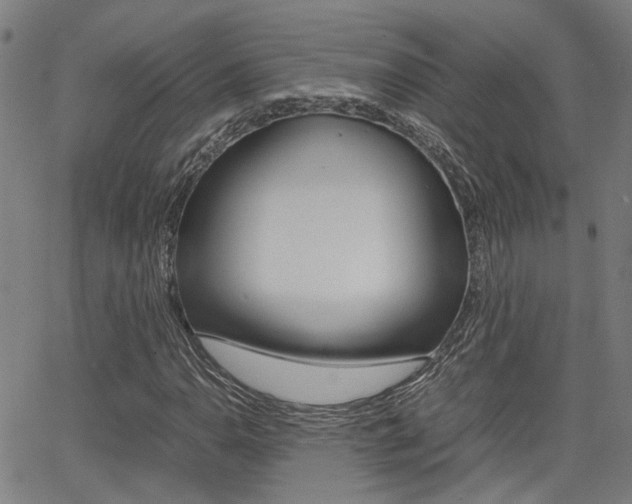 X0000064061110200601270926