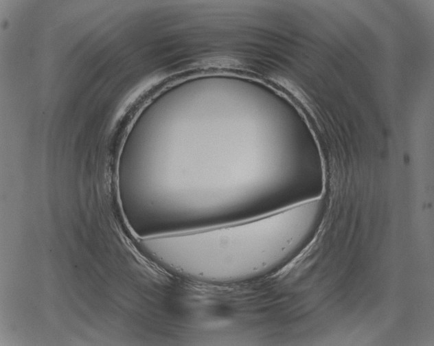 X0000064061115200601270926