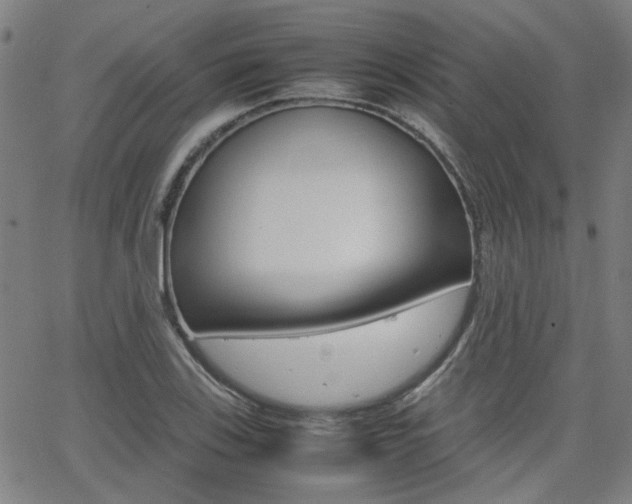 X0000064061123200601270927