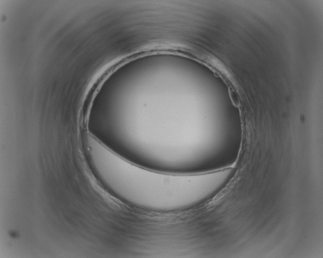 X0000064061124200601270927
