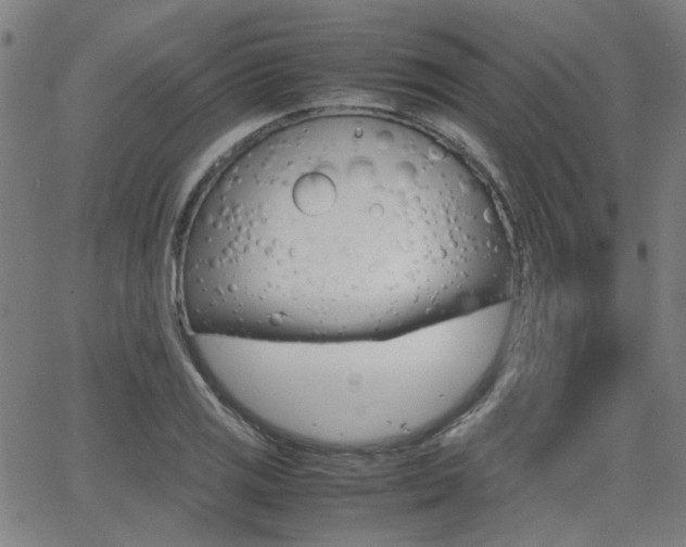 X0000064061125200601270927