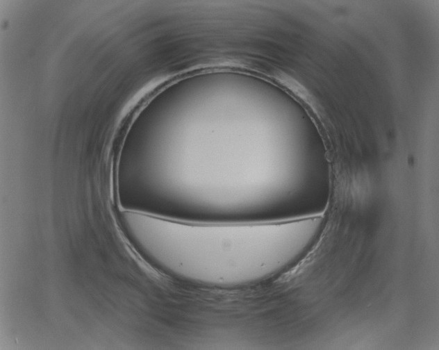 X0000064061127200601270927