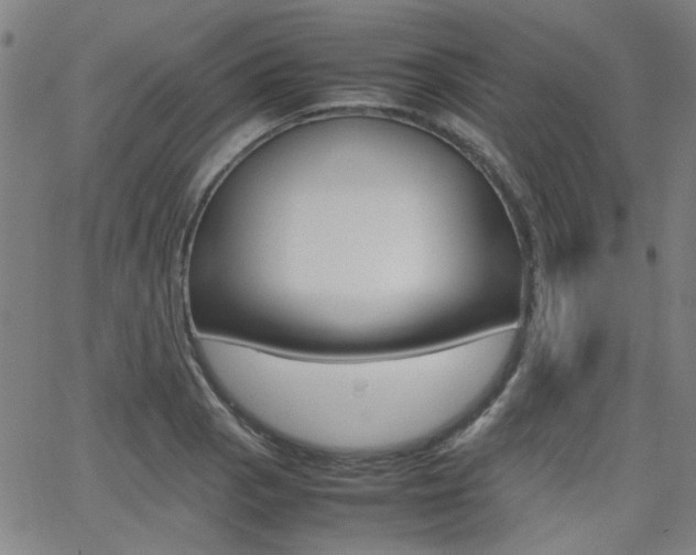 X0000064061129200601270927