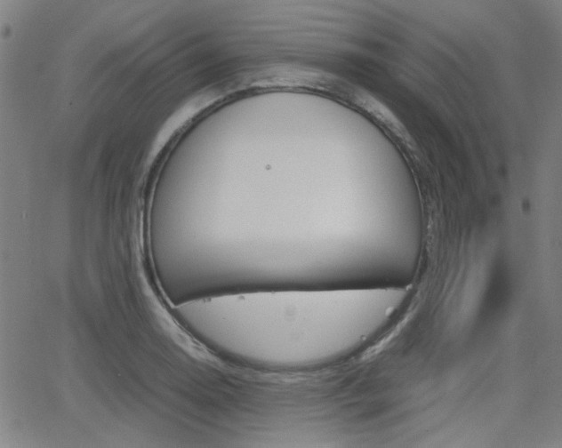 X0000064061130200601270927