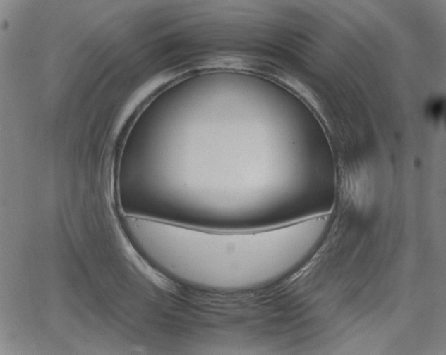 X0000064061131200601270927