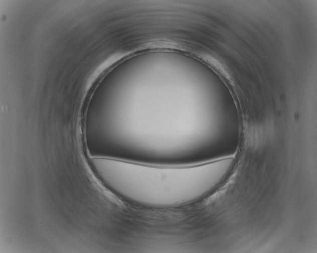 X0000064061133200601270927