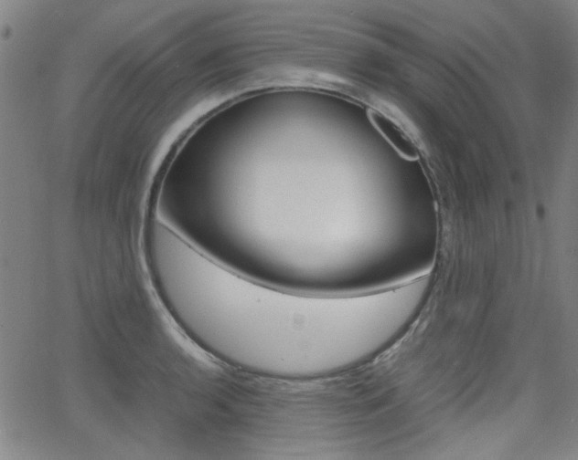 X0000064061136200601270927