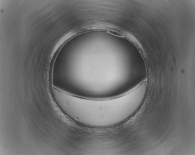 X0000064061138200601270927