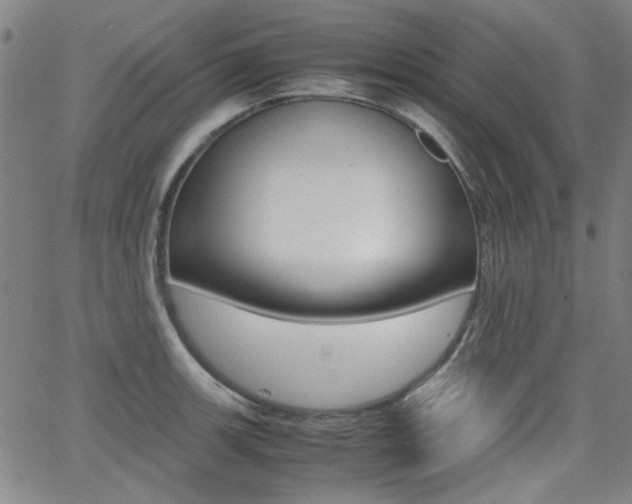 X0000064061139200601270927