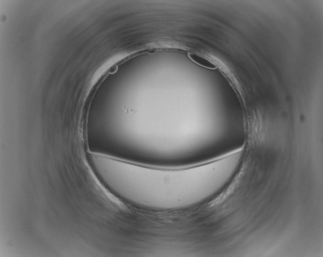 X0000064061141200601270927