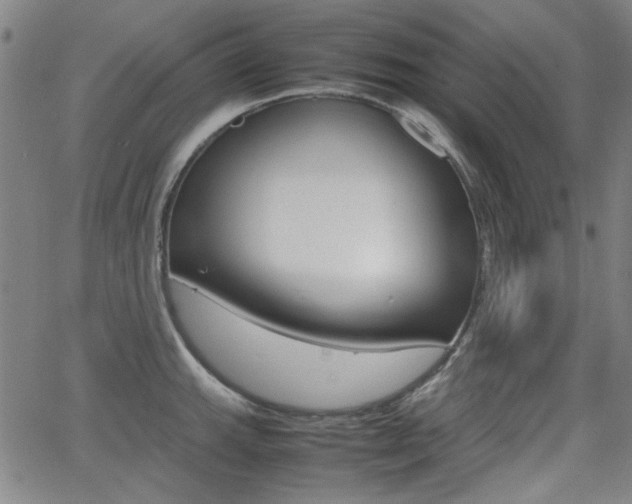 X0000064061143200601270927