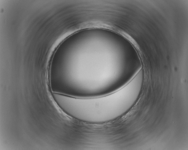 X0000064061144200601270927