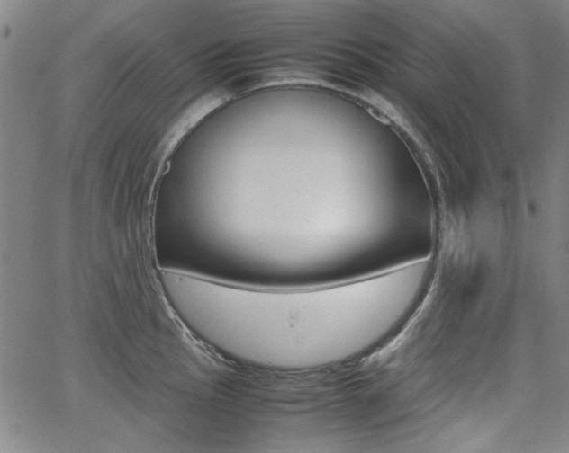 X0000064061145200601270927