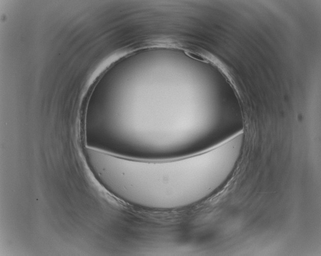 X0000064061147200601270927