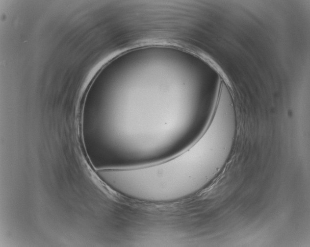 X0000064061148200601270927