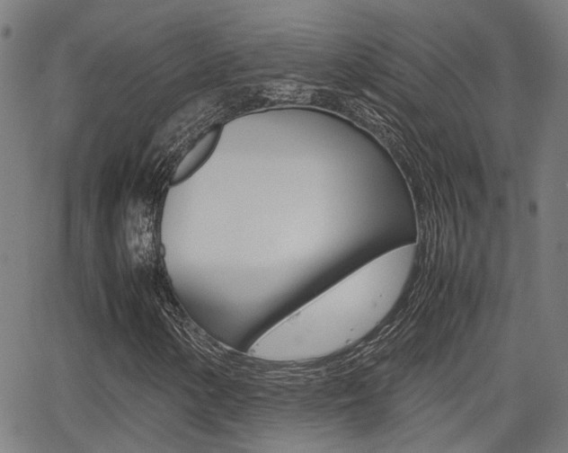 X0000064061154200601270926