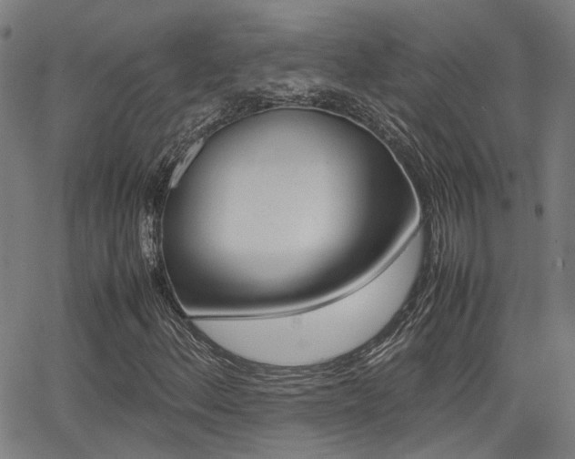 X0000064061156200601270926