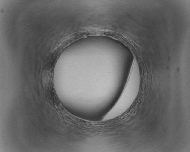 X0000064061157200601270926