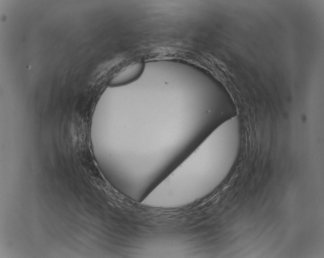 X0000064061158200601270926