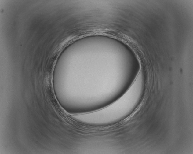 X0000064061161200601270926