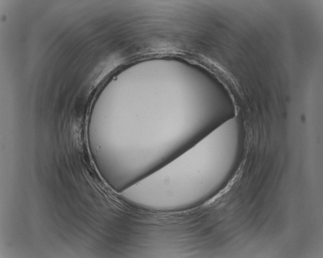 X0000064061162200601270926