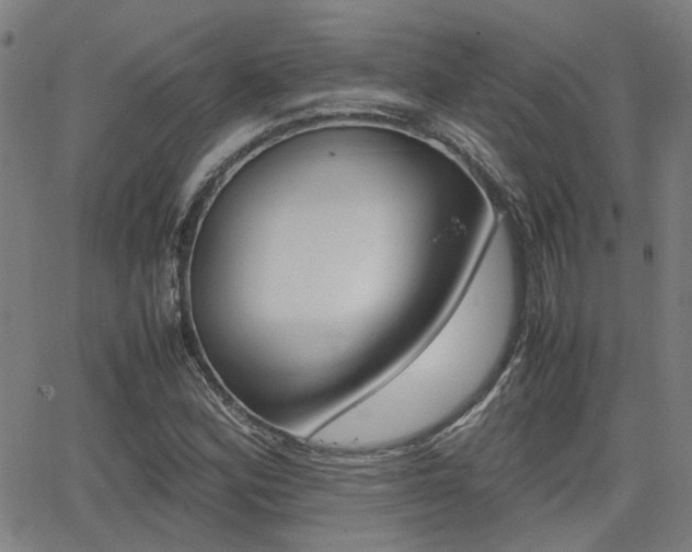 X0000064061164200601270926