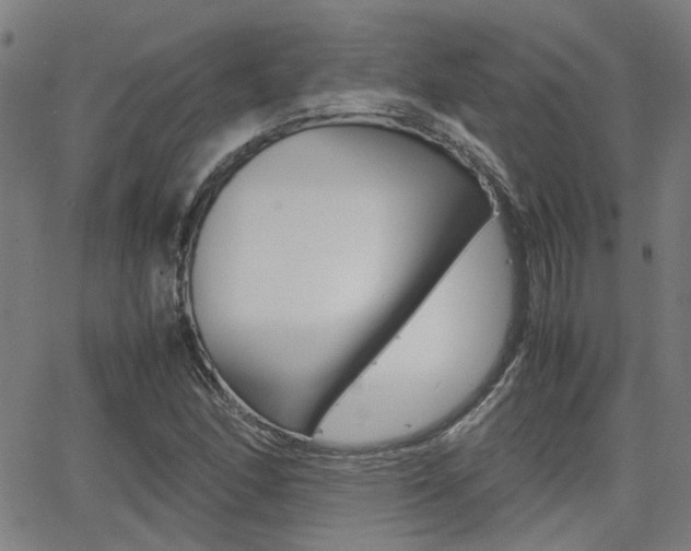 X0000064061166200601270926