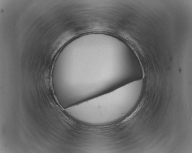 X0000064061170200601270926