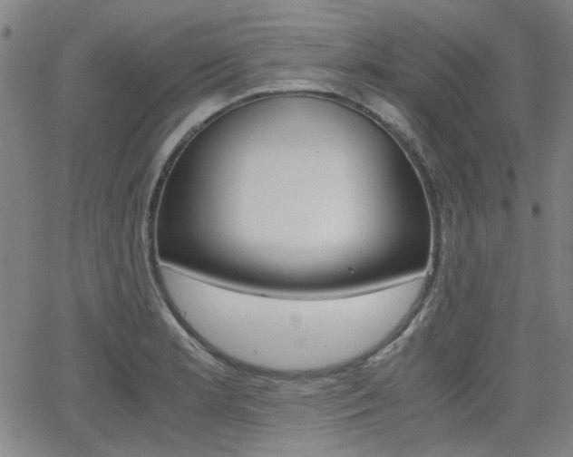 X0000064061181200601270926