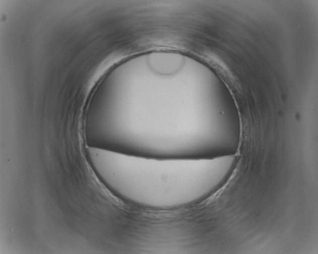 X0000064061182200601270926
