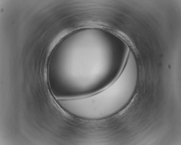 X0000064061188200601270926