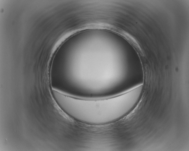 X0000064061192200601270926