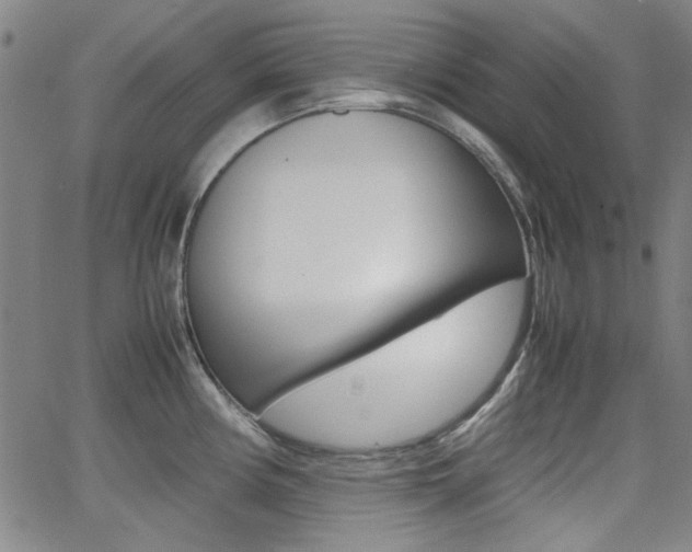 X0000064061194200601270926