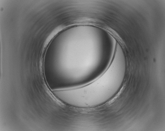 X0000064061196200601270926