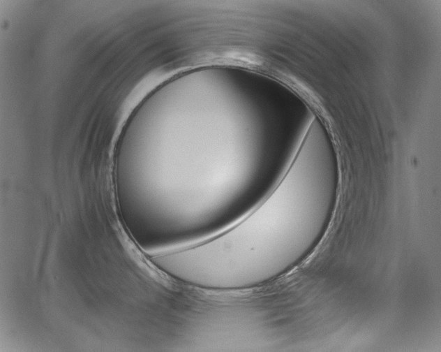 X0000064061200200601270926