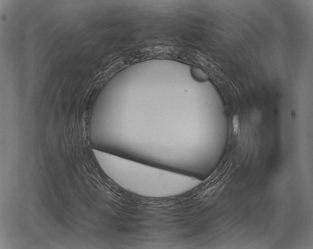X0000064061203200601270925